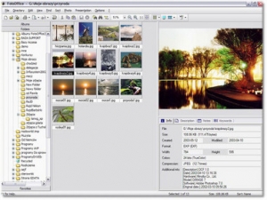 Foto Office 3 Pro Polski+witaminka Foto Office 3 Pro Polski+witaminka