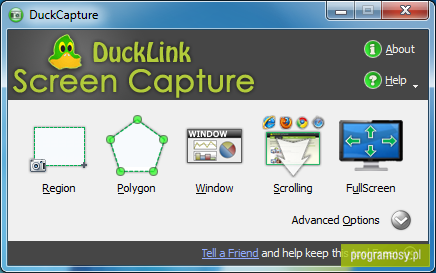 DuckLink Screen Capture