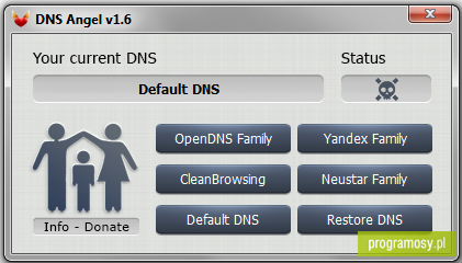 DNS Angel