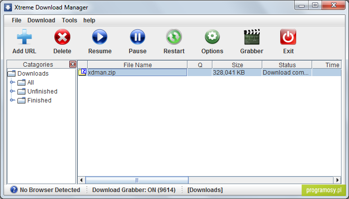 Xtreme Download Manager