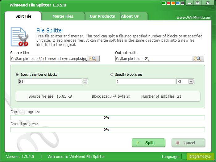 WinMend File Splitter