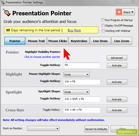 Presentation Pointer