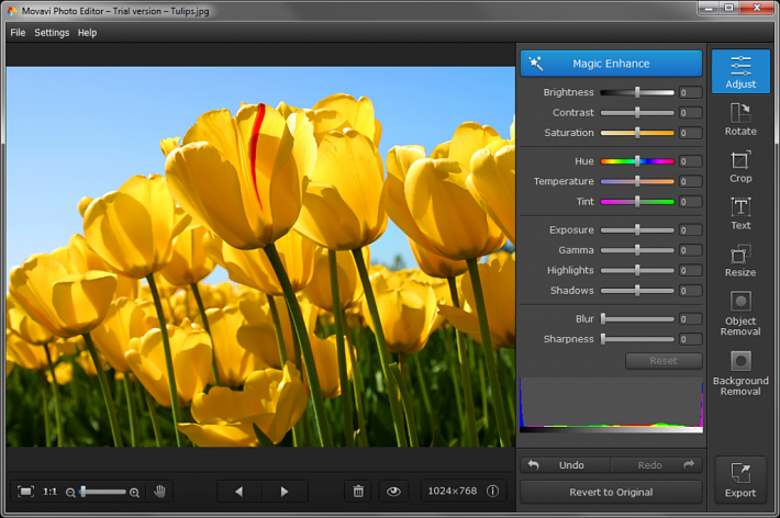 Movavi Photo Editor