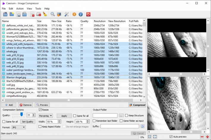 Caesium Portable