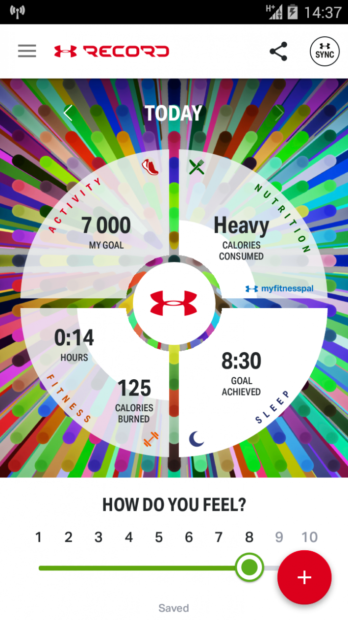 Under Armour Record