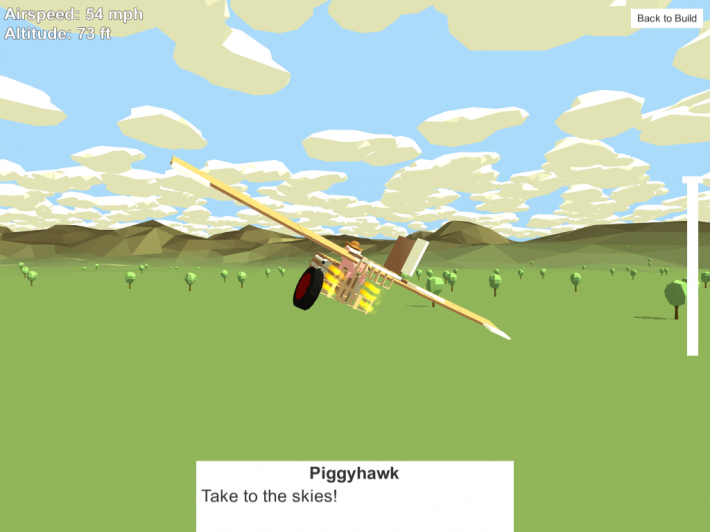 When Pigs Fly