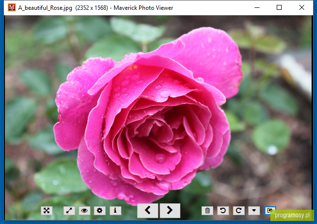 Maverick Photo Viewer