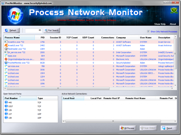 Process Network Monitor