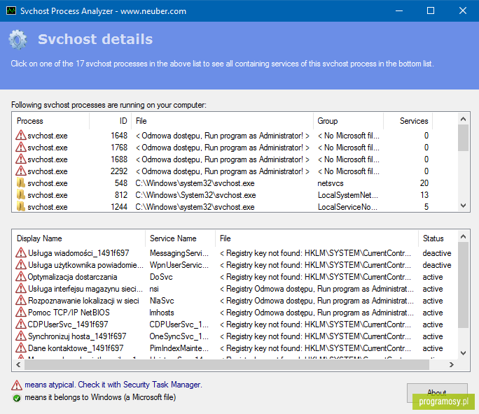 Svchost Process Analyzer