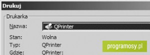 QPrinter